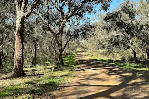 Forêt Dar Salam image