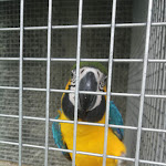 Photo n°8 de l'avis de Carol.r fait le 16/06/2020 à 21:37 sur le  Quinta das Quintãs à São Tomé de Covelas