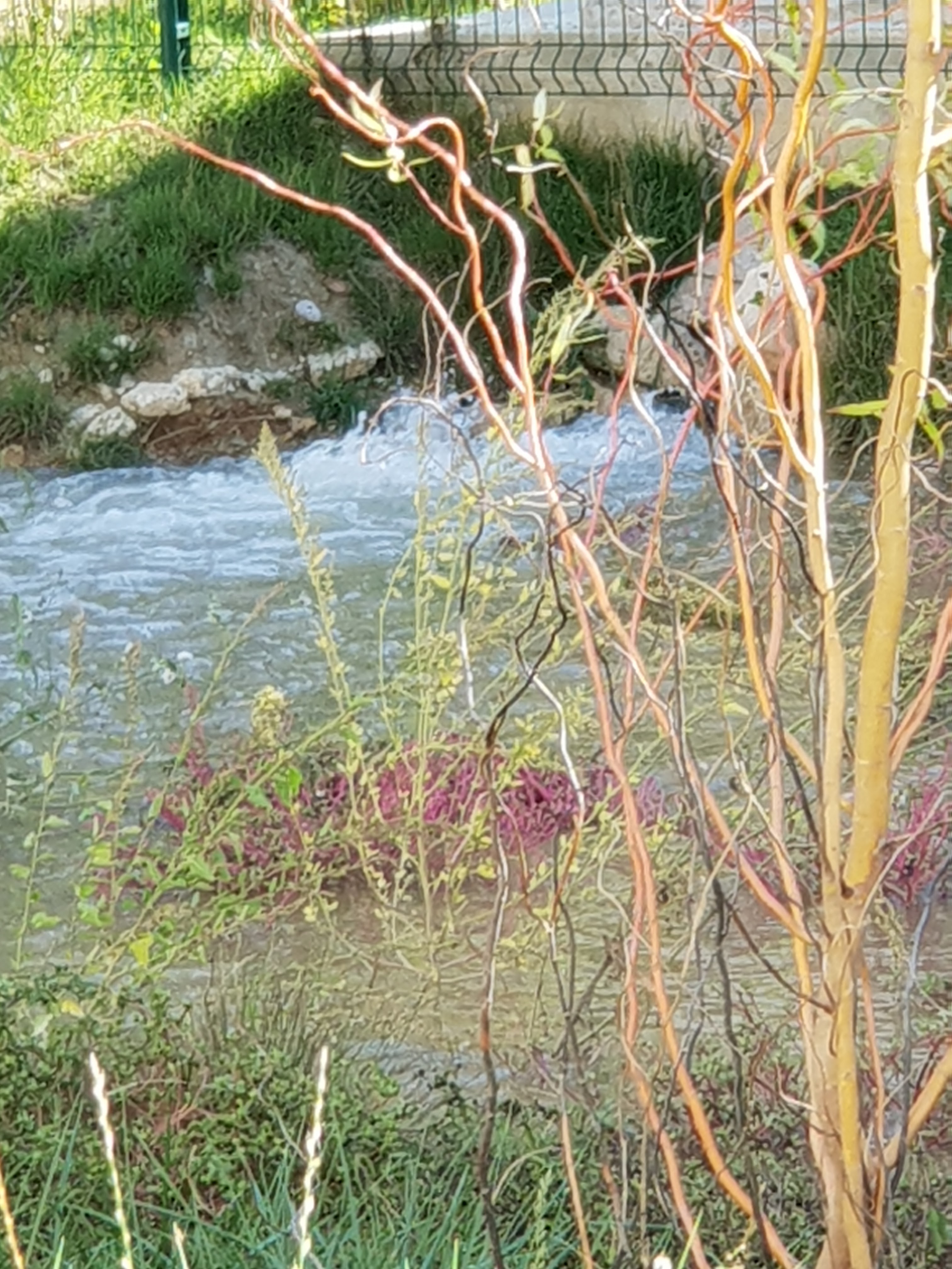 Photo n° 4 de l'avis de Sandrine.o fait le 14/10/2018 à 21:57