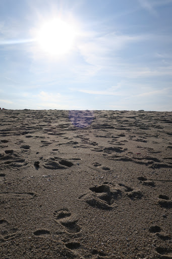 Golf Course «Hominy Hill Golf Course», reviews and photos, 92 Mercer Rd, Colts Neck, NJ 07722, USA