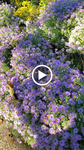 Volleyball Court «Brooklyn Bridge Park - Pier 6 - Beach Volleyball Courts», reviews and photos, Brooklyn Bridge Park Greenway, Brooklyn, NY 11201, USA