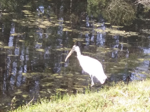 Golf Club «The Hackler Course at Coastal Carolina University», reviews and photos, 107 Citadel Dr, Conway, SC 29526, USA