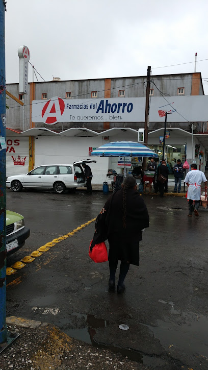 Farmacia Del Ahorro Sucursal Felipe Berriozabal Felipe Berriozabal, Valle Verde Y Terminal, 50140 Toluca De Lerdo, Méx. Mexico