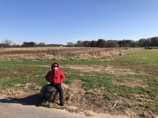 Produce Market «Solly Brothers», reviews and photos, 707 Almshouse Rd, Warminster, PA 18974, USA