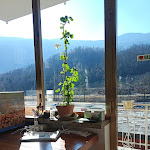 Photo n°8 de l'avis de Marcella. fait le 13/02/2022 à 16:29 sur le  Pizzeria Fumata Bianca à Sant'Omobono Terme