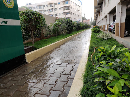 Google Maps image 15