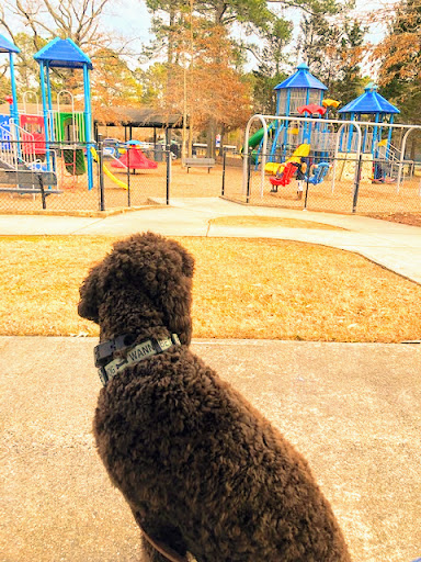 Park «Ocee Park», reviews and photos, 10900 Buice Rd, Johns Creek, GA 30022, USA
