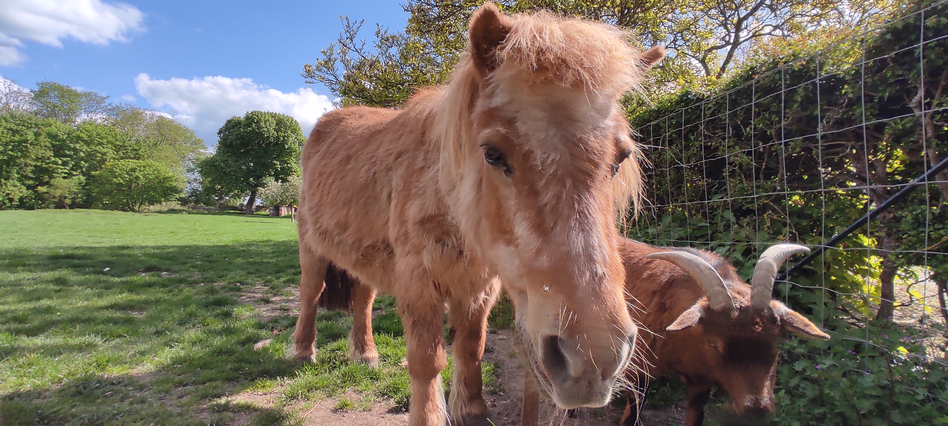 Photo n° 8 de l'avis de Philippe.i fait le 29/05/2023 à 07:26