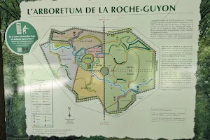 Arboretum de La Roche-Guyon image