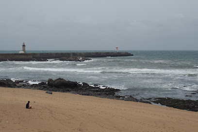 Bike Rental, Nice Beach