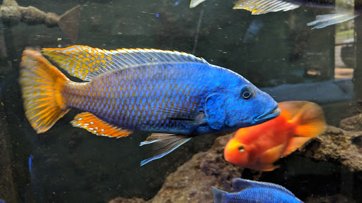 Aquarium «Aquatica», reviews and photos, 800 Clanton Rd H, Charlotte, NC 28117, USA