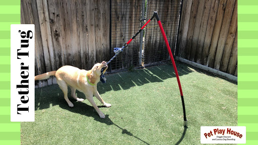 Pet Store «Pet Play House», reviews and photos, 2403 E 4th St, Reno, NV 89512, USA