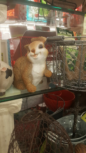 Craft Store «Hobby Lobby», reviews and photos, 2217 S Loop 288, Denton, TX 76205, USA