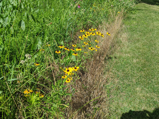 Park «Prairie Park», reviews and photos, 431 Knollwood Dr, Barrington, IL 60010, USA