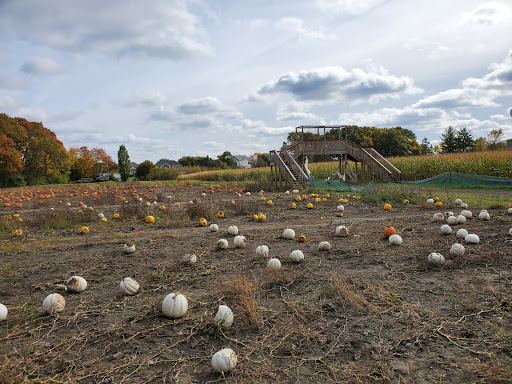 Farm «Abbey Farms», reviews and photos, 2855 Hart Rd, Aurora, IL 60502, USA