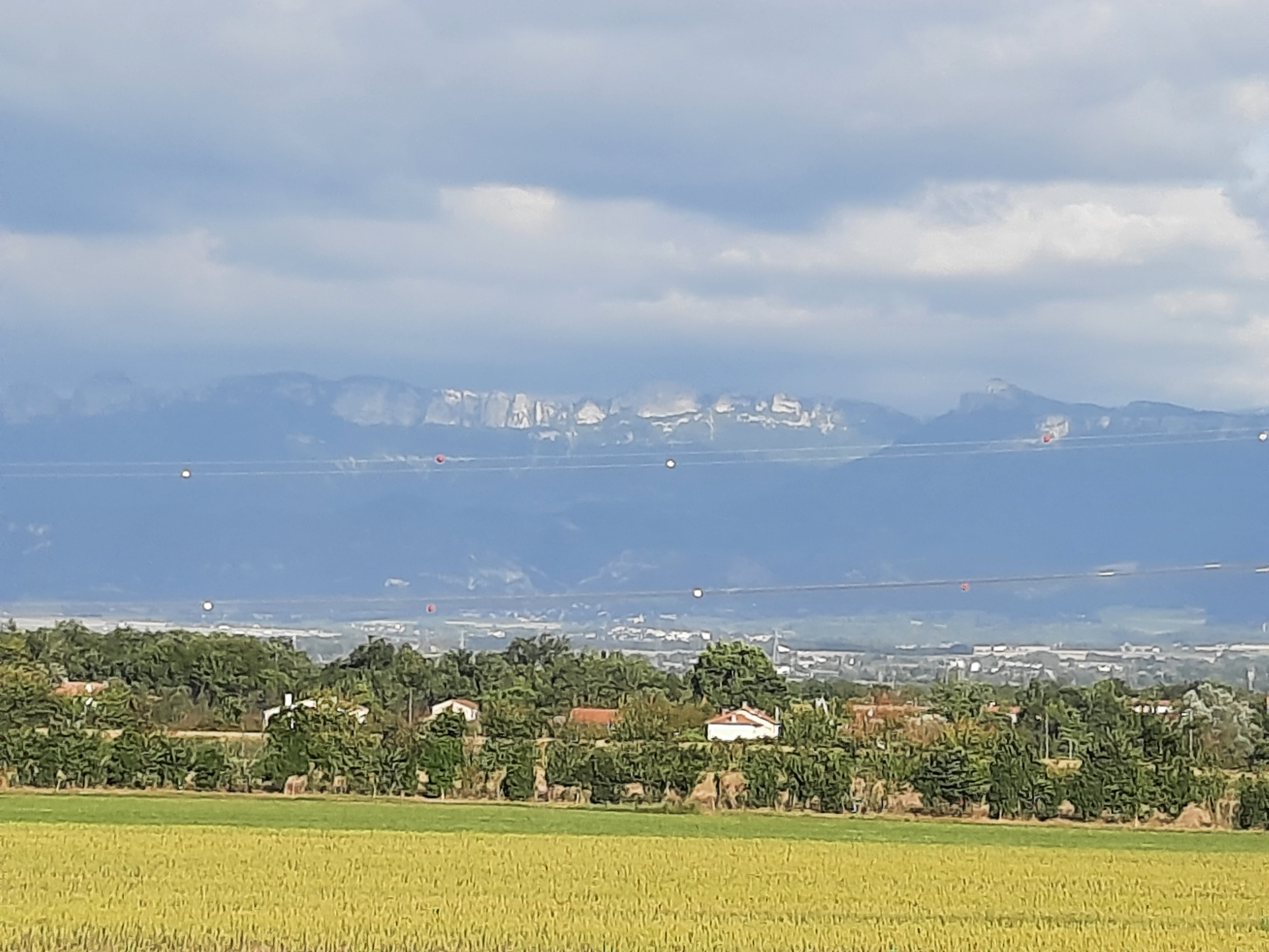 Photo n° 2 de l'avis de Vine.a fait le 03/09/2021 à 17:34