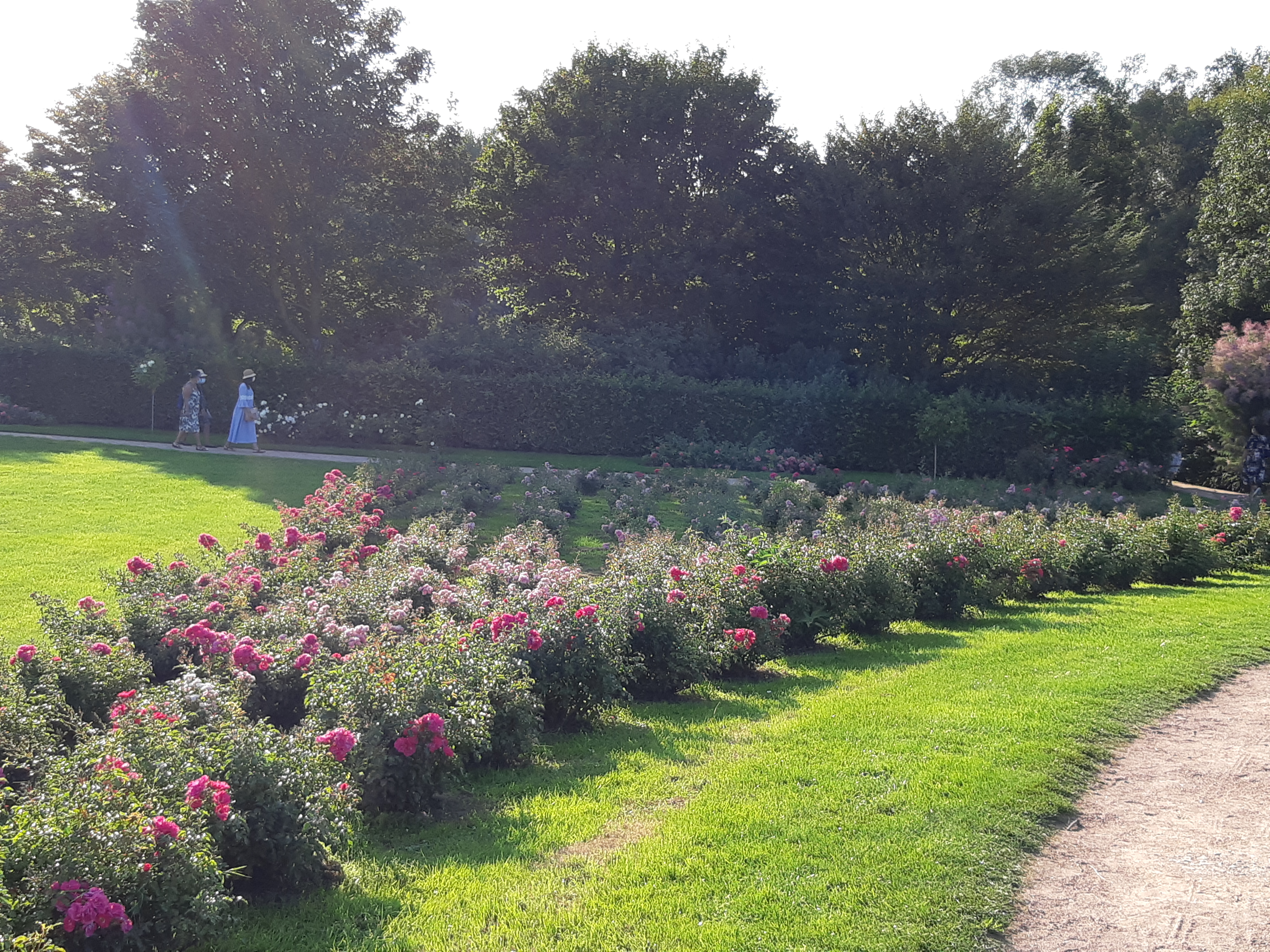 Photo n° 1 de l'avis de Béa.� fait le 14/09/2020 à 18:10
