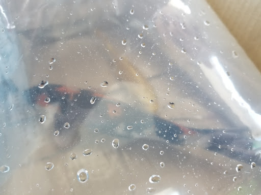 Fish Farm «Kloubec Koi», reviews and photos, 1375 Baxter Ave NW, Amana, IA 52203, USA