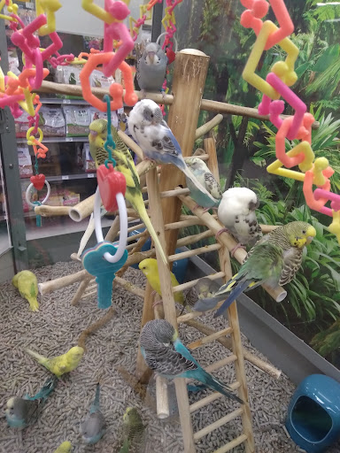 Pet Supply Store «Petco Animal Supplies», reviews and photos, 1610 Avenue Y, Brooklyn, NY 11235, USA