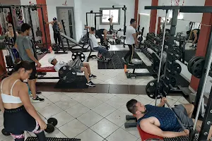 Animal Kingdom Gym image