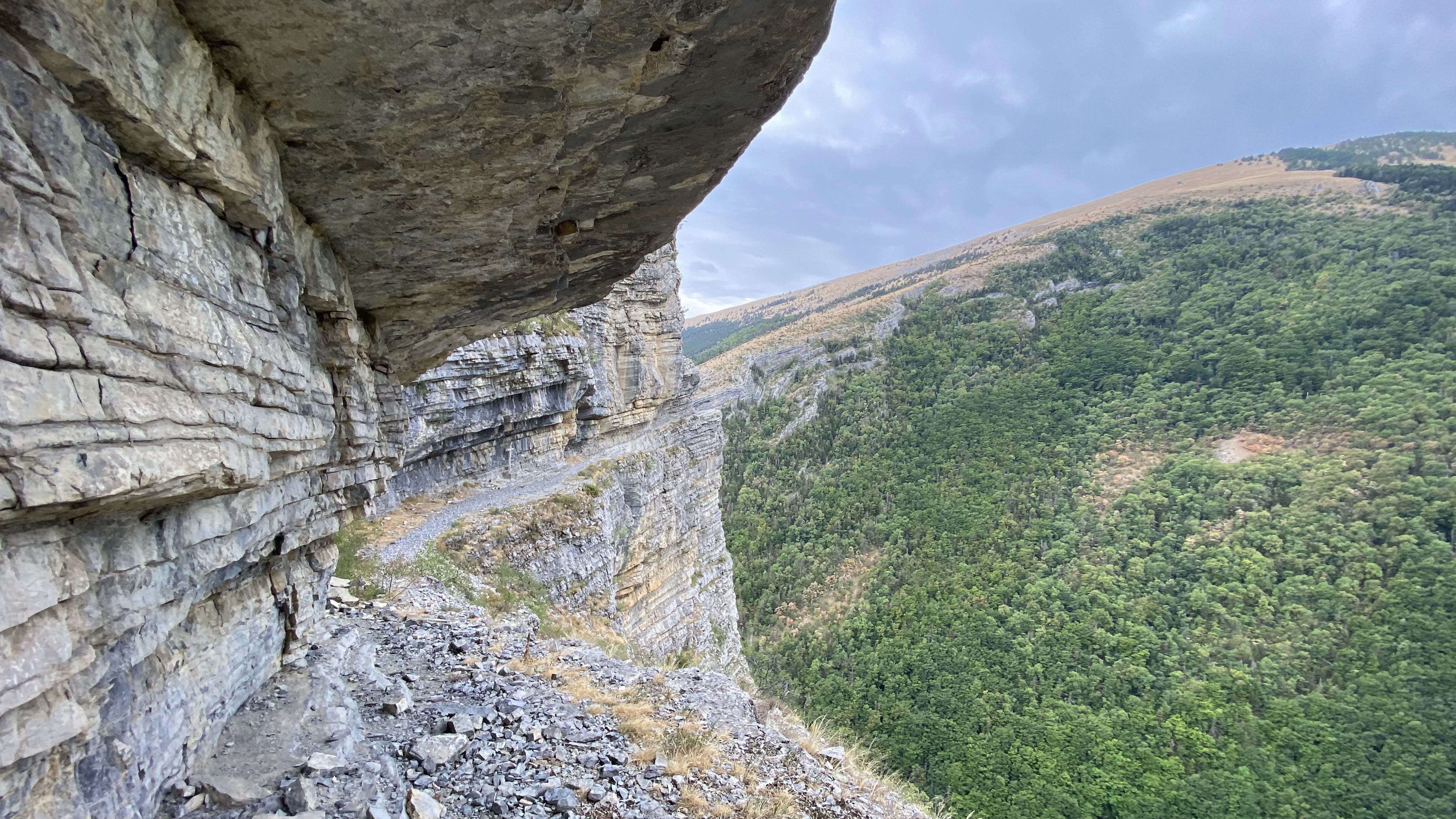 Photo n° 8 de l'avis de Tasvu. fait le 17/08/2022 à 18:54