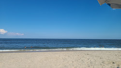 Foto di Sandy Hook Beach con costa lunga e dritta