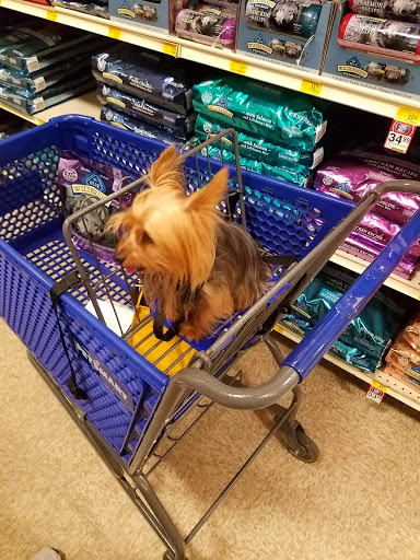 Pet Supply Store «PetSmart», reviews and photos, 5722 Fairmont Pkwy, Pasadena, TX 77505, USA