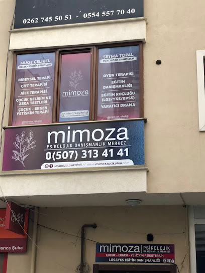 Mimoza Psikolojik Danışmanlık Merkezi