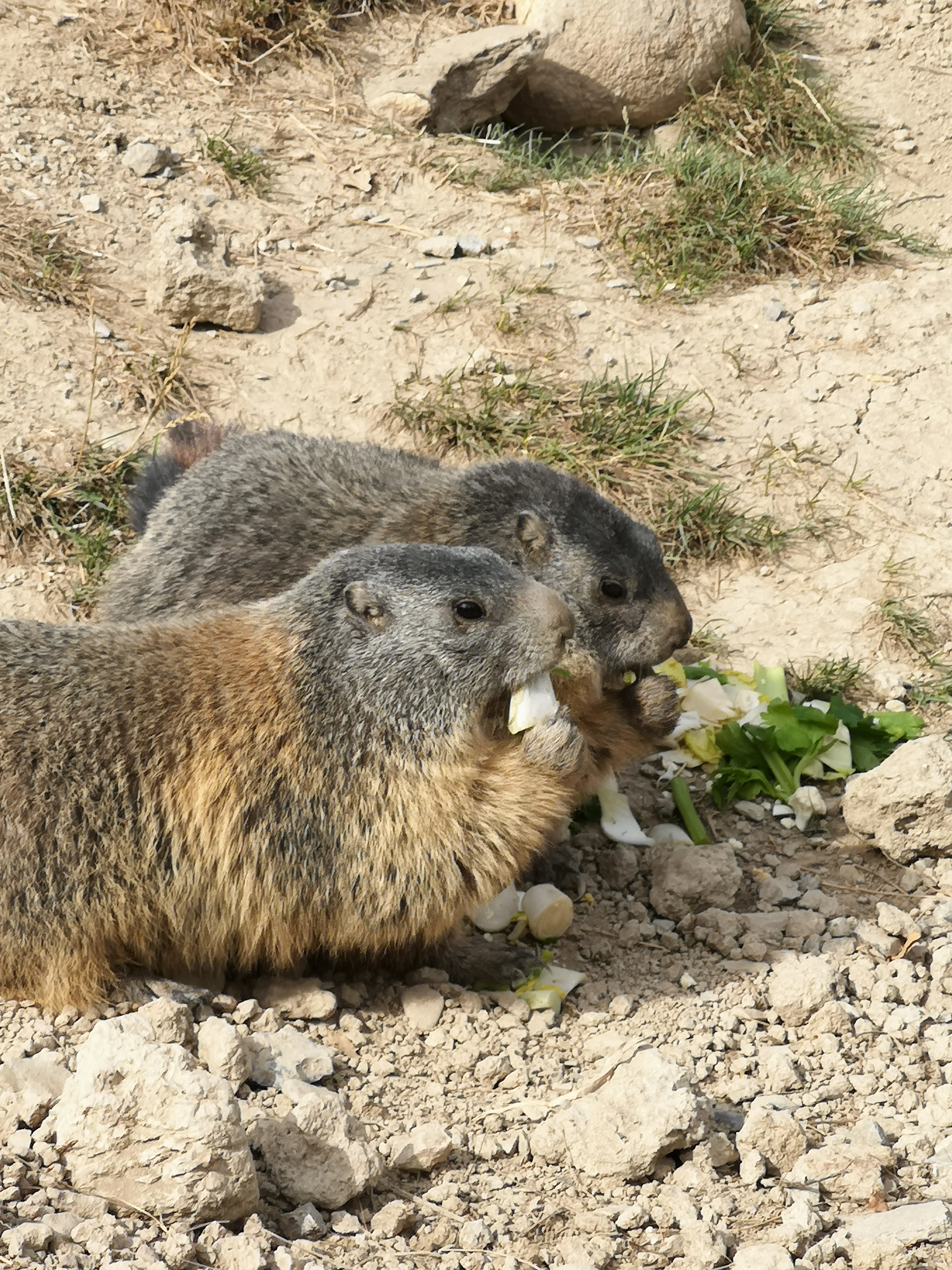 Photo n° 4 de l'avis de Quentin.l fait le 08/09/2020 à 20:54