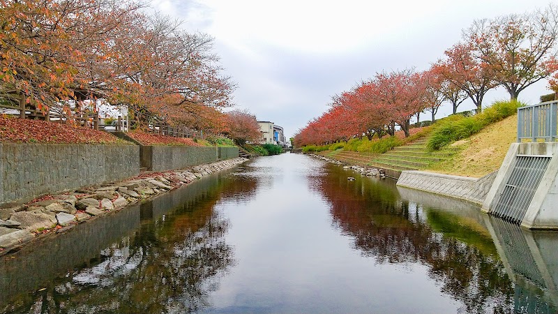 赤坂泉公園