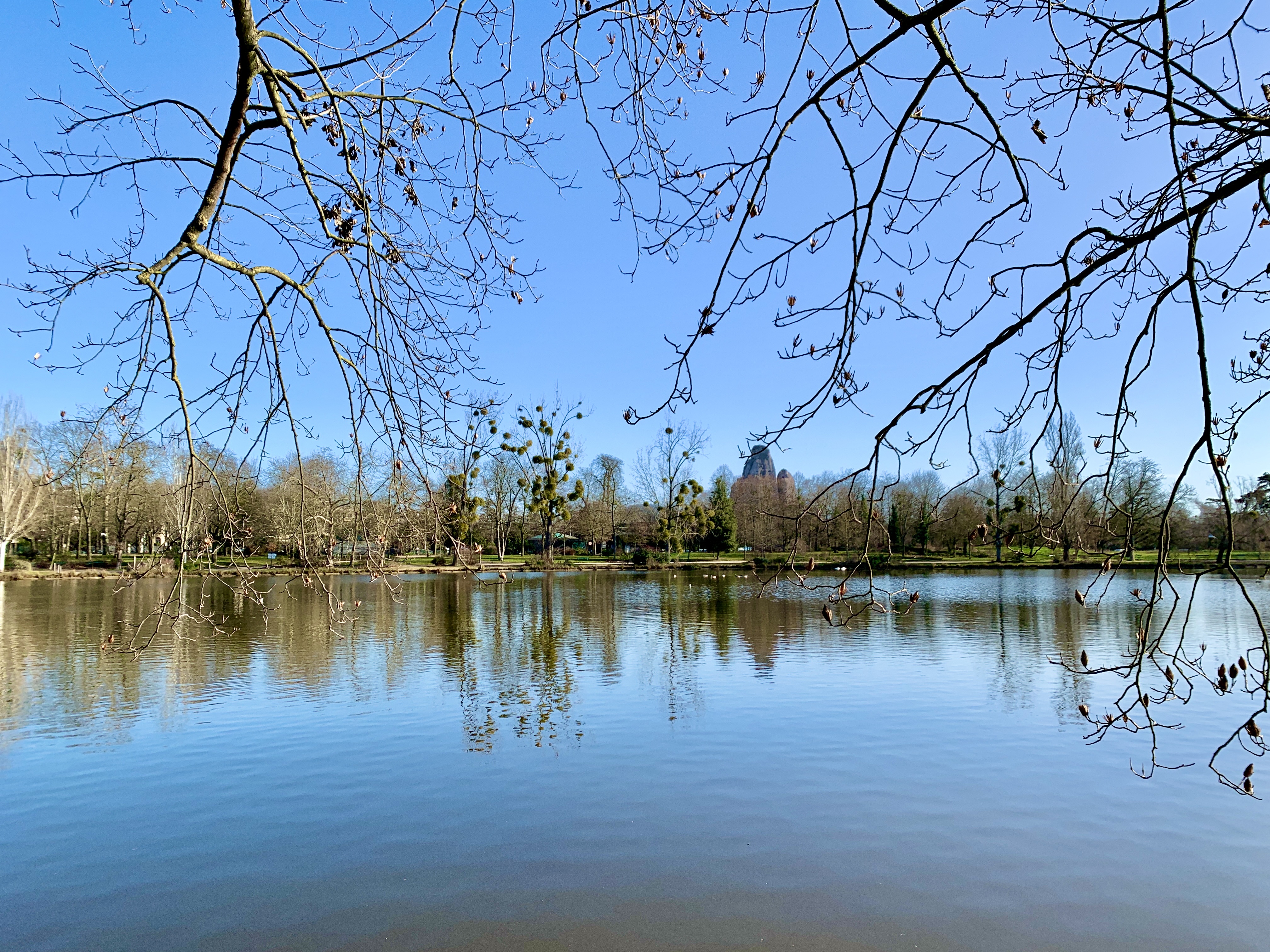 Photo n° 22 de l'avis de Agnès. fait le 10/02/2022 à 08:51