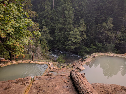 National Forest «Umpqua National Forest», reviews and photos, 1121 Houser Ct, Idleyld Park, OR 97447, USA