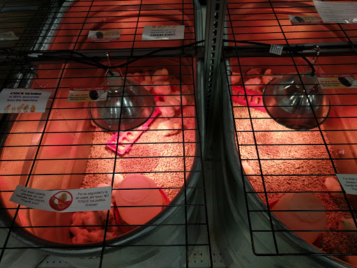 Home Improvement Store «Wilco Farm Store», reviews and photos, 1901A NE 162nd Ave, Vancouver, WA 98684, USA