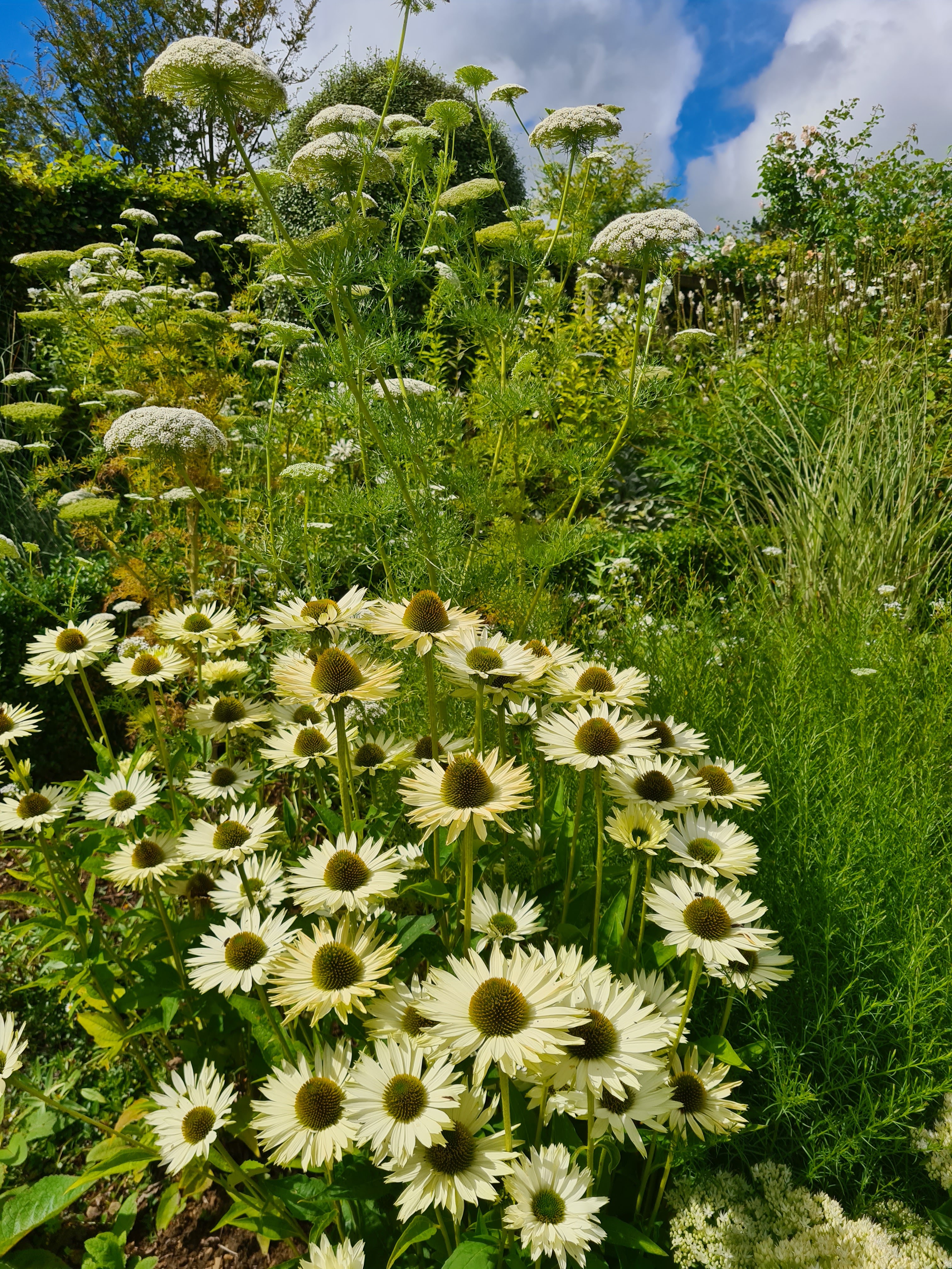 Photo n° 4 de l'avis de Marieke.o fait le 19/08/2020 à 15:52