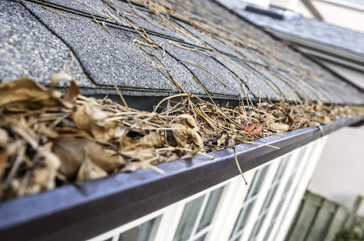 Gutter cleaning service Springfield