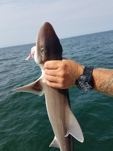 Golf Club «Mink Meadows Golf Club», reviews and photos, 320 Golf Club Rd, Vineyard Haven, MA 02568, USA