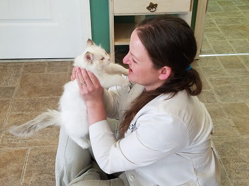 Spokane Cat Clinic image