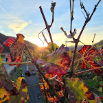 Photo n°2 de l'avis de Andreas.a fait le 12/11/2021 à 06:06 sur le  Hotel Vergissmeinnicht à Ellenz-Poltersdorf