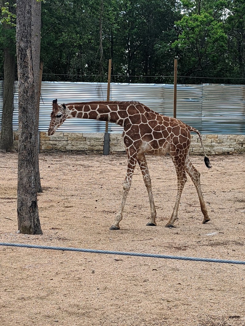 Houston Interactive Aquarium & Animal Preserve