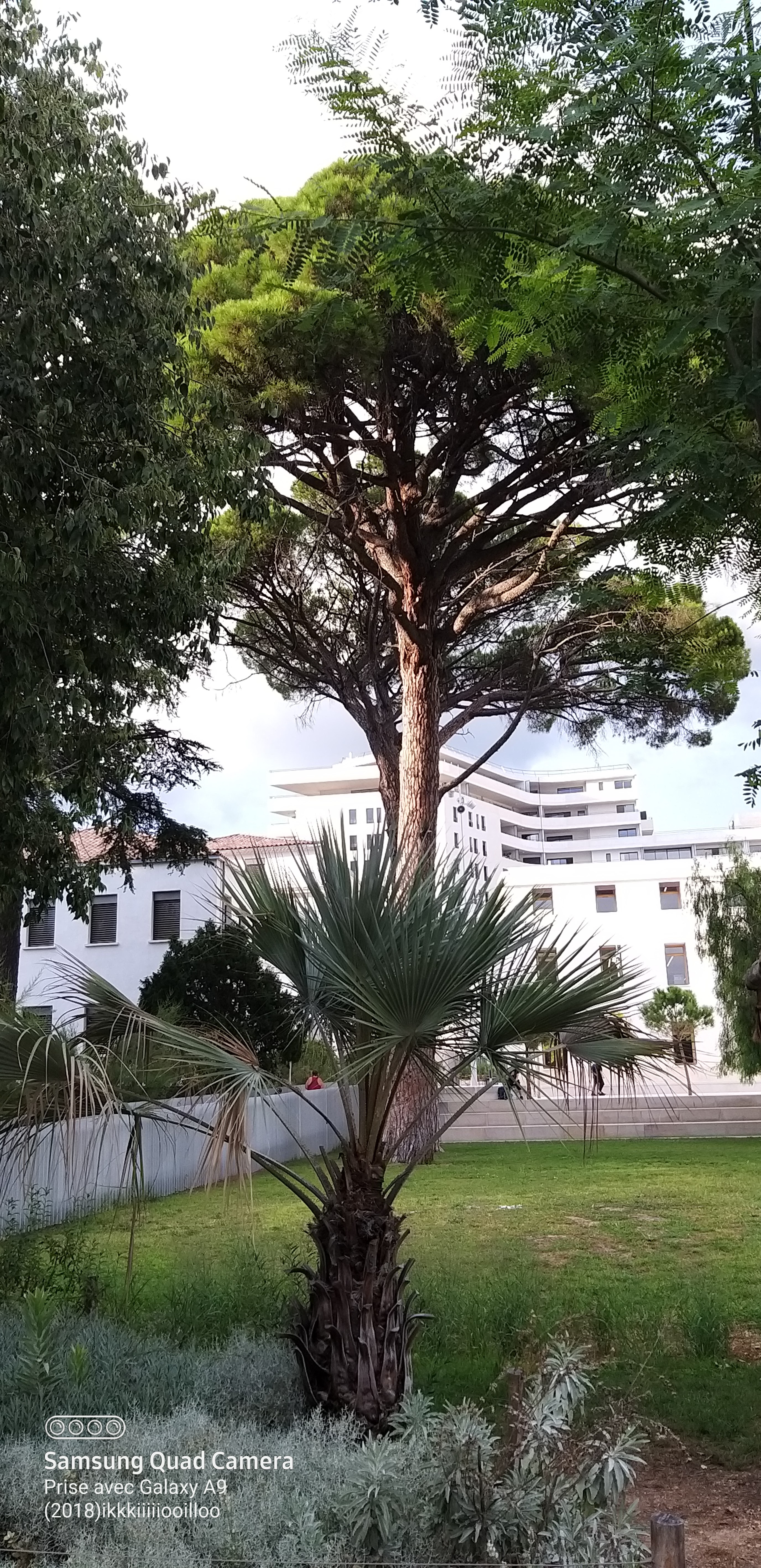 Photo n° 13 de l'avis de Amana.m fait le 13/09/2020 à 11:32