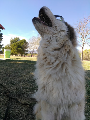 Park «Angel Park», reviews and photos, Angel Park Trail, Las Vegas, NV 89145, USA