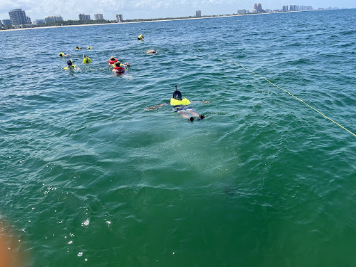 Dive Shop «Sea Experience Glassbottom Snorkel and Dive Tours», reviews and photos, 801 Seabreeze Blvd, Fort Lauderdale, FL 33316, USA