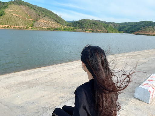 Top 20 background cửa hàng Huyện Cát Tiên Lâm Đồng 2022