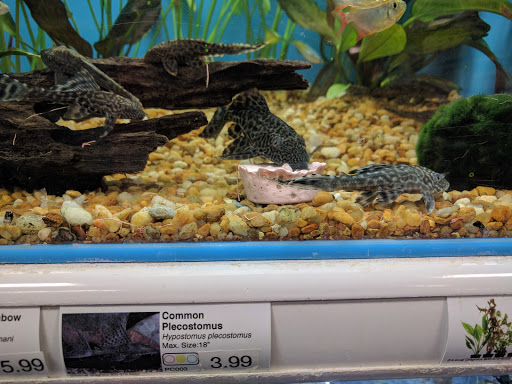 Pet Supply Store «Pet Supermarket», reviews and photos, 268 Grande Heights Dr, Cary, NC 27513, USA