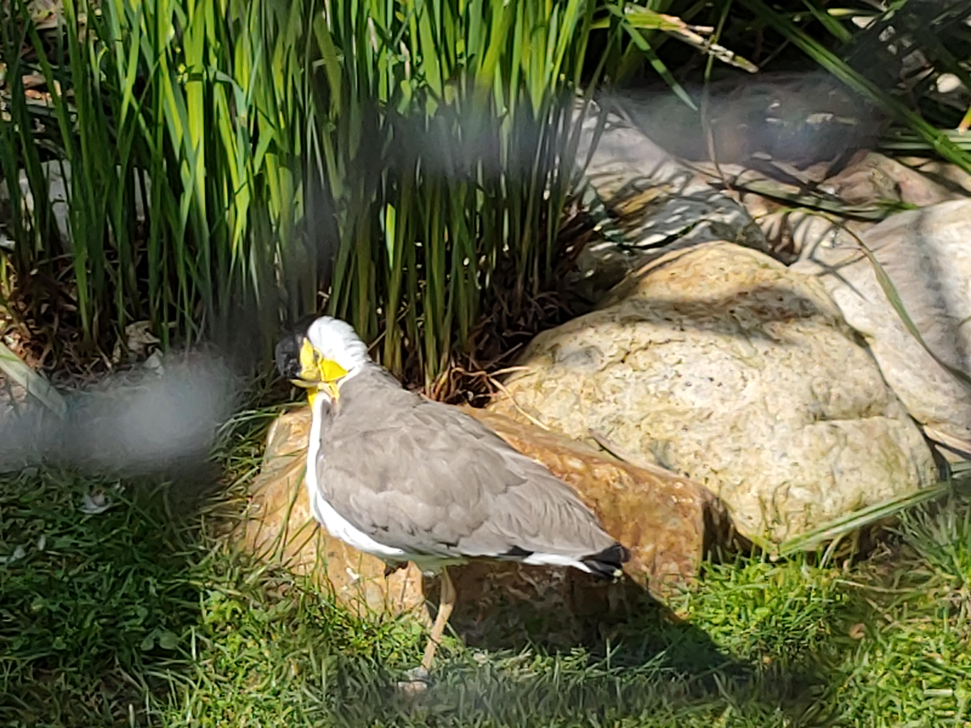 Photo n° 14 de l'avis de Eric.l fait le 16/04/2023 à 16:52