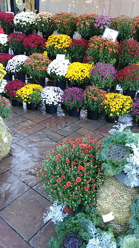 Gourmet Grocery Store «Fruit Center Marketplace», reviews and photos, 10 Bassett St, Milton, MA 02186, USA