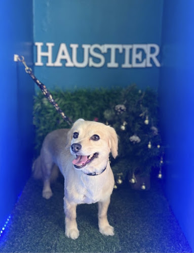 Veterinaria Haustier - Maipú