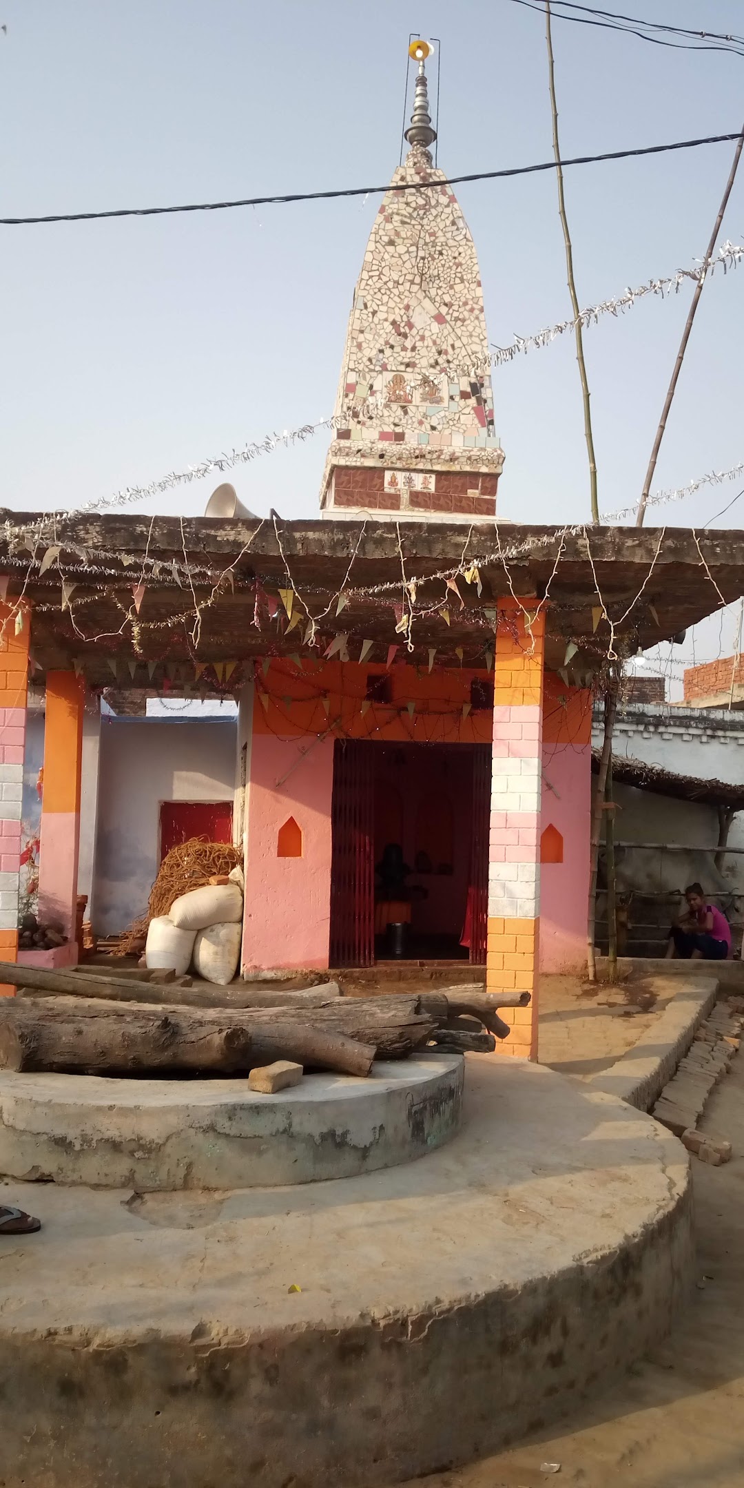 विश्वेस्वर नाथ मंदिर