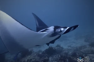 Ocean freaks Dive Center image