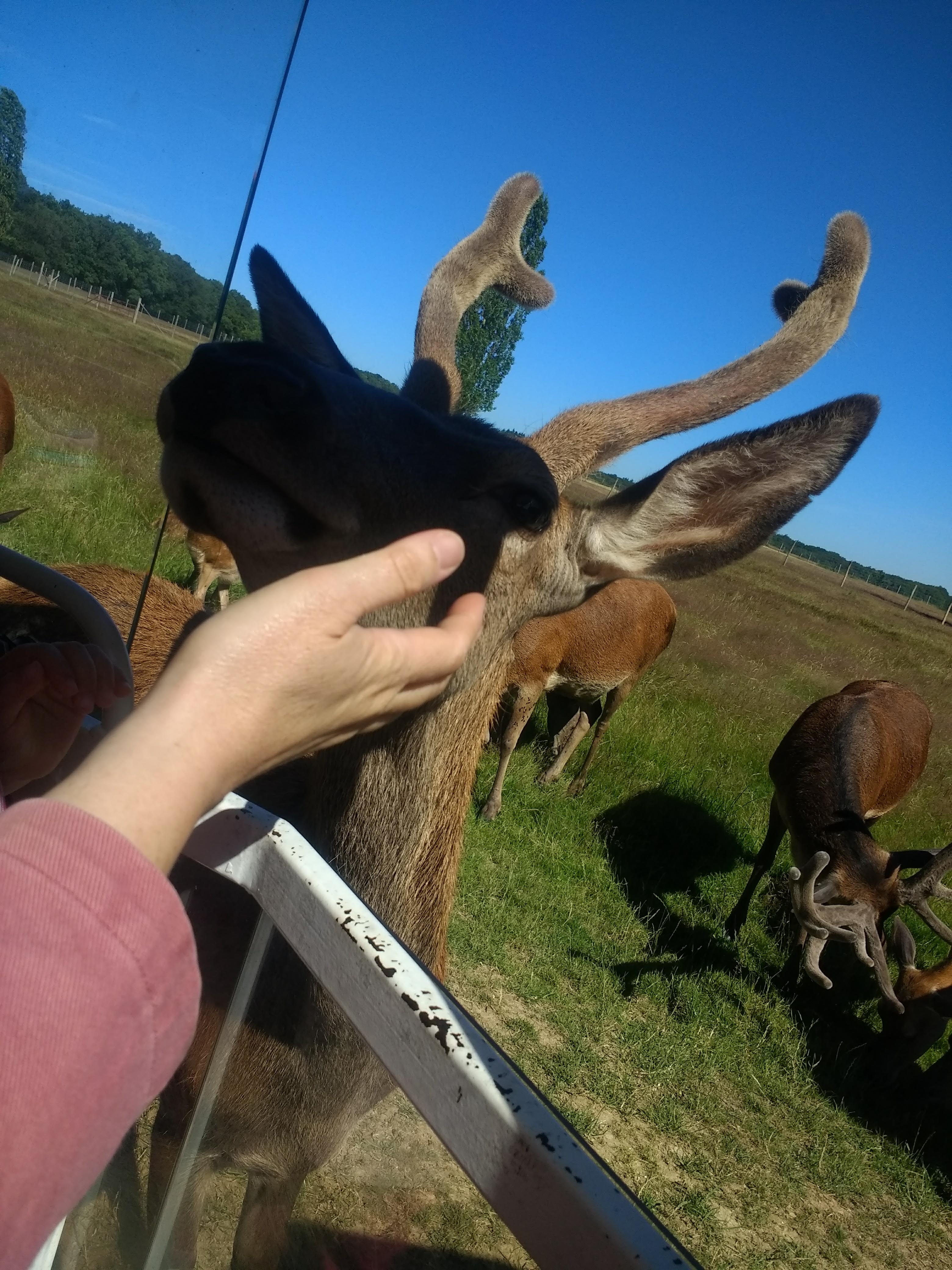 Photo n° 4 de l'avis de Kriss-. fait le 23/06/2018 à 10:16